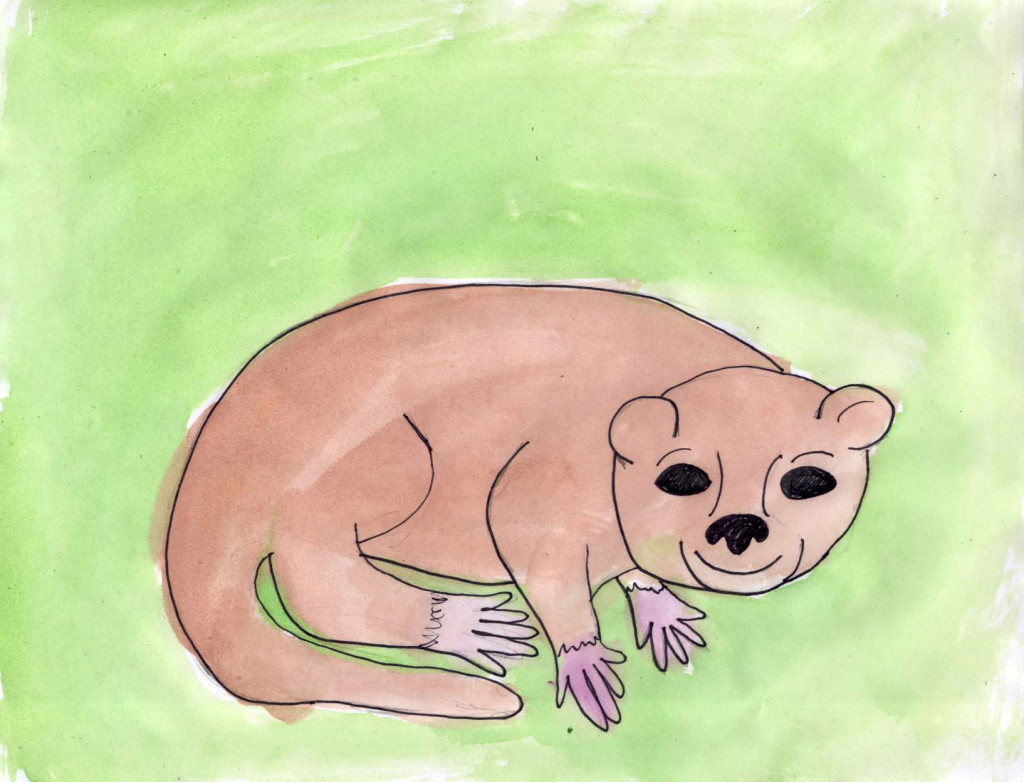 Olinguitos (Wonderful Wildlife, Book 5) by Ashlee Craft - Olinguito