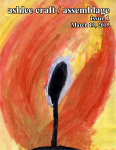 Assemblage Issue 1 - Cover